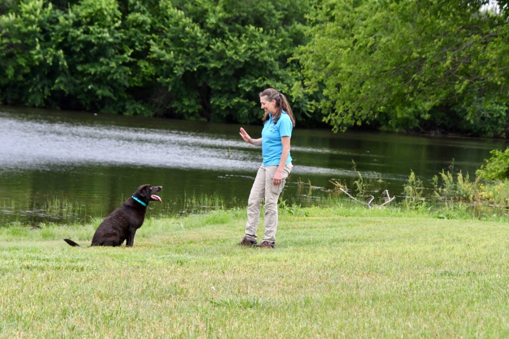 training with distractions